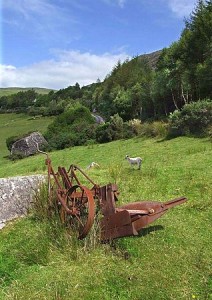 abandoned plough